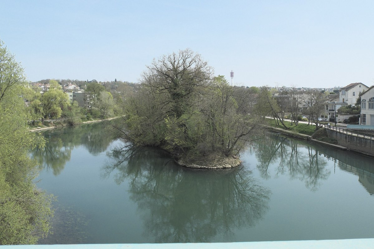 La Marne à Champigny, bordée d'arbres