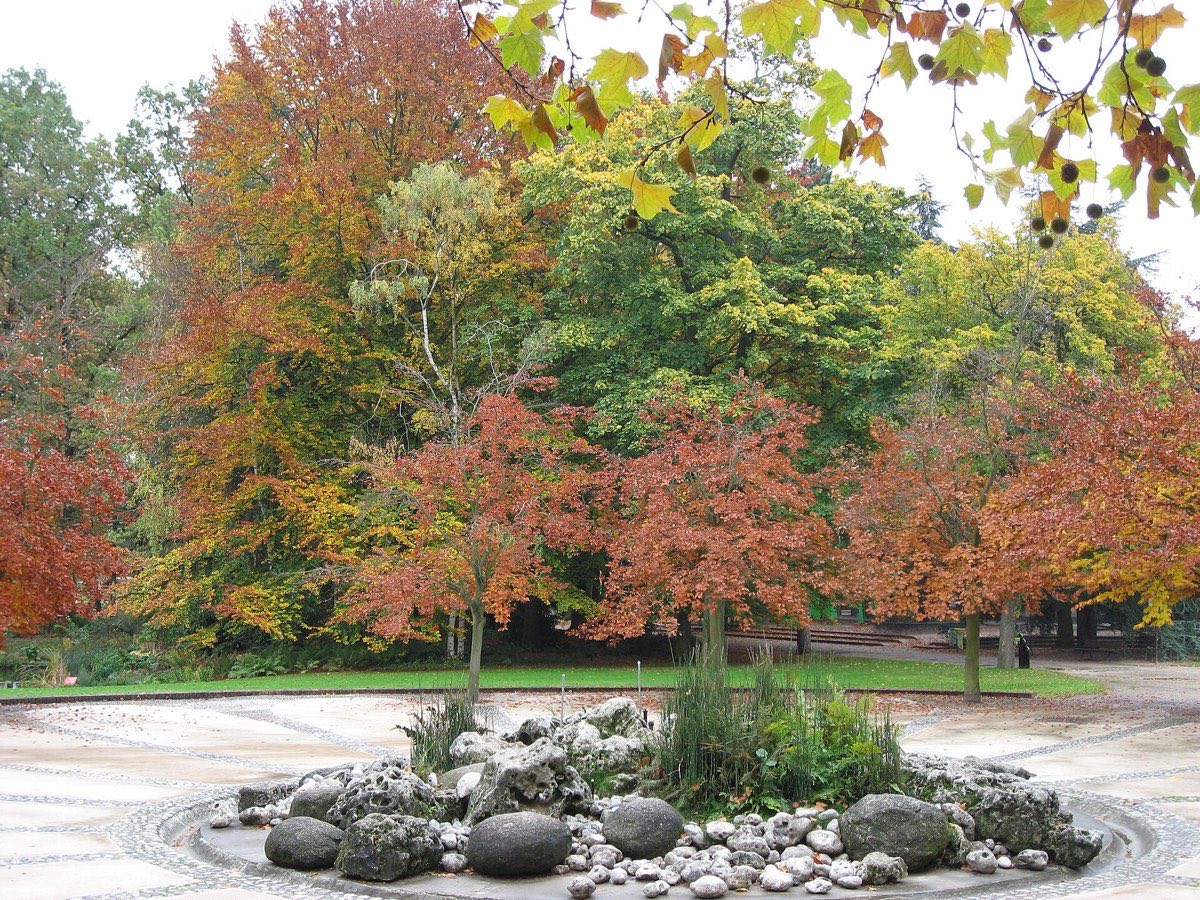 Arbres aux couleurs d'automne au Parc floral de Paris
