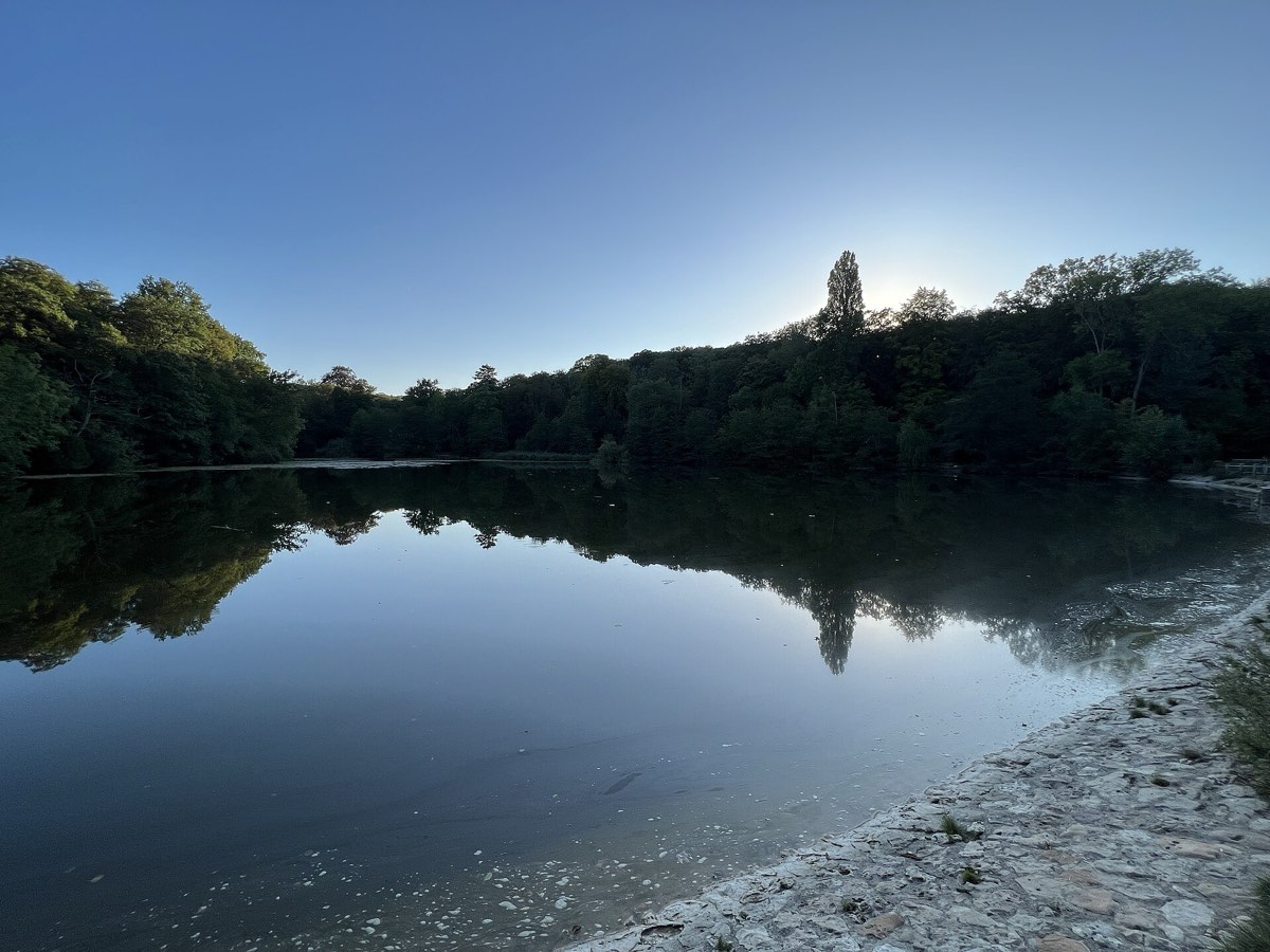 L'étang de Saint-Cucufa entouré d'arbres, reflet dans l'eau